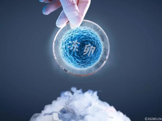 守护生命起源的健康：如何破解人类生育力下降难题