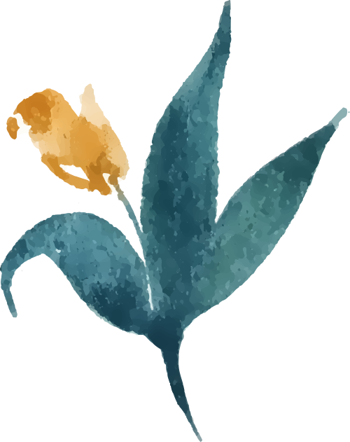 【AI学习】我可真厉害!用豆包+即梦+可灵AI摸索出了山海经万物有灵变身视频的做法